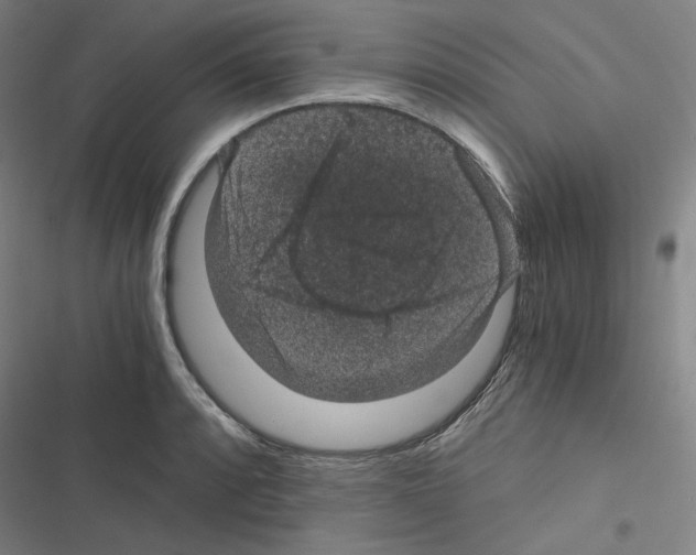 X0000116481088201001201337