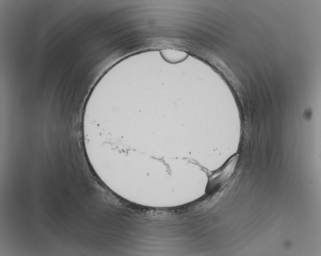 X0000116481089201001201337