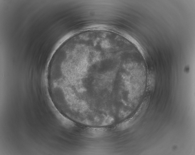 X0000116481090201001201337