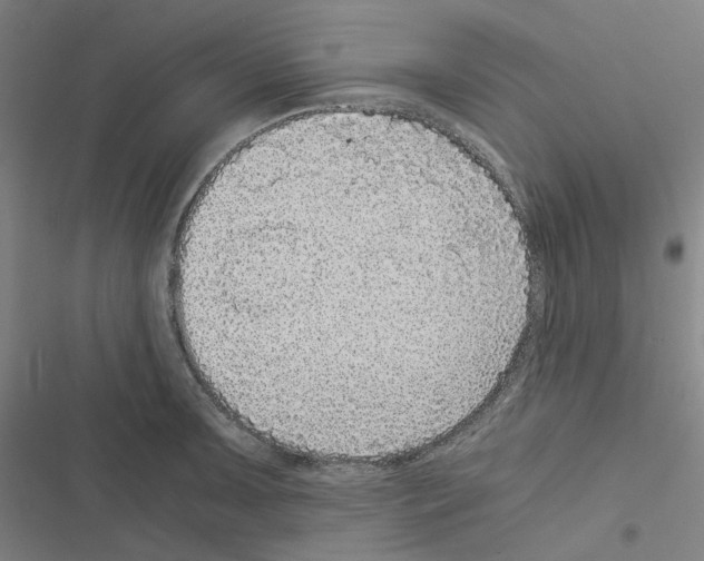 X0000116481091201001201337