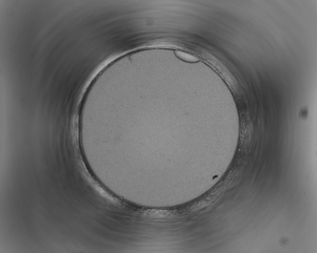 X0000116481092201001201337