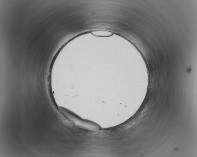 X0000116481093201001201337