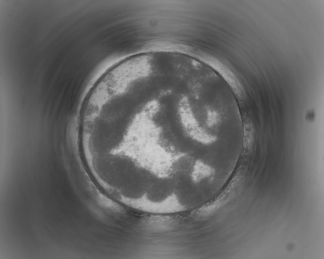 X0000116481094201001201337