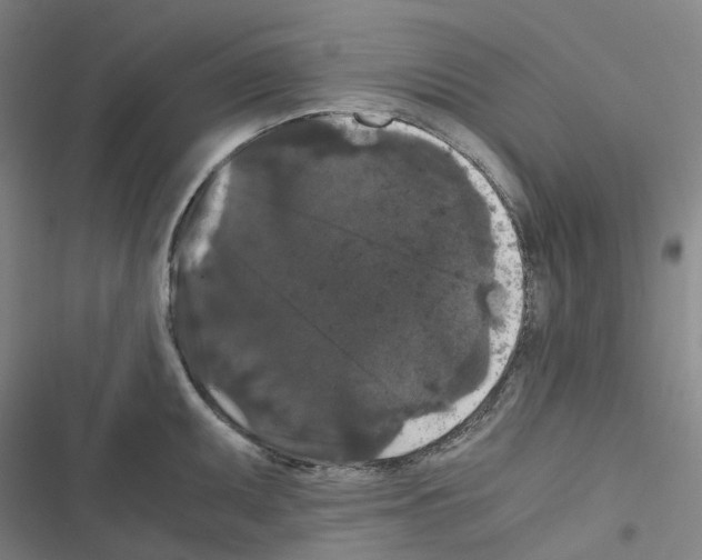 X0000116481095201001201337