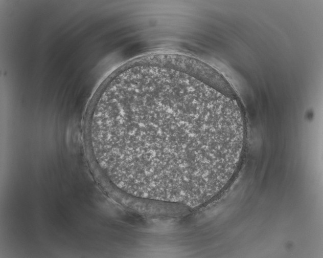 X0000116481097201001201337