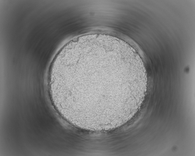 X0000116481099201001201337