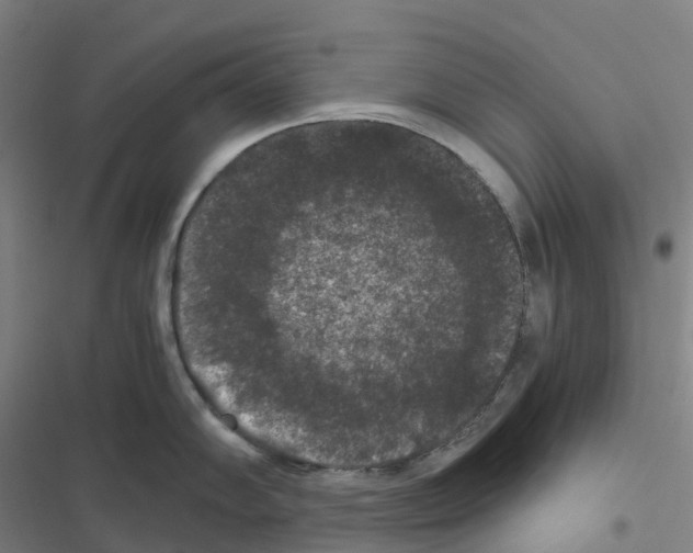 X0000116481102201001201337