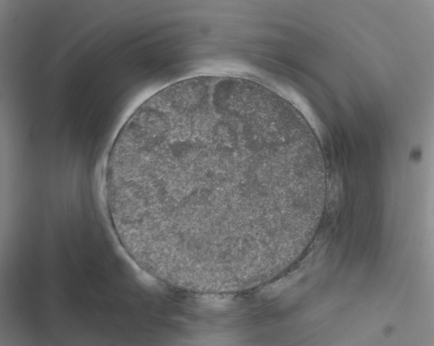 X0000116481103201001201337