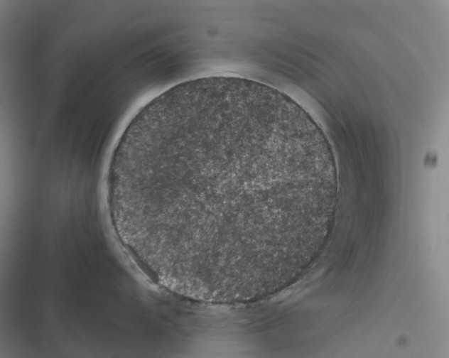 X0000116481104201001201337