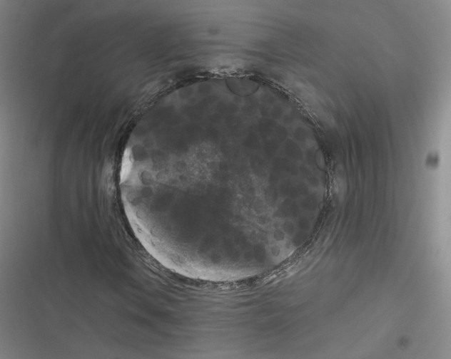 X0000116481106201001201336