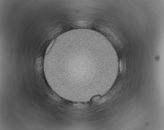 X0000116481107201001201336