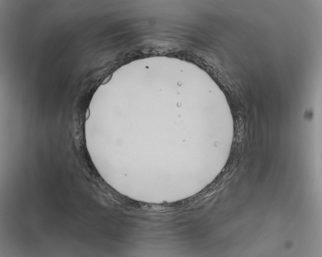 X0000116481109201001201336