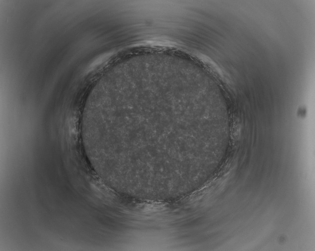 X0000116481110201001201336