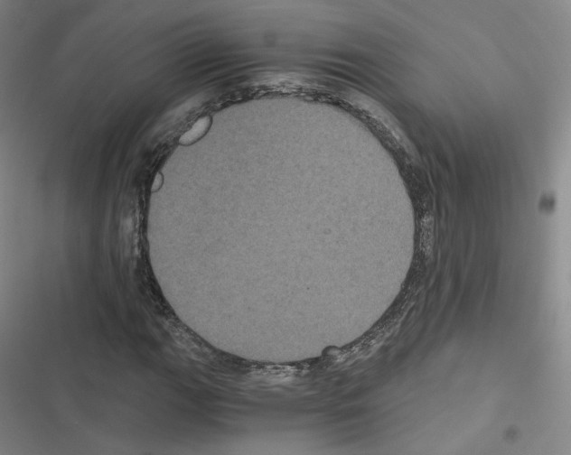 X0000116481111201001201336