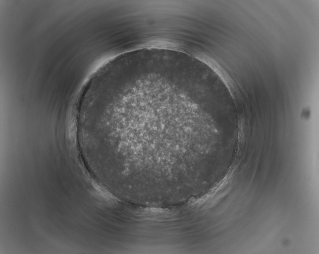 X0000116481115201001201336