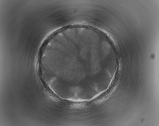 X0000116481117201001201336