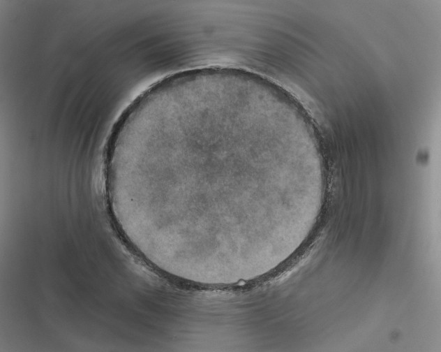 X0000116481118201001201336