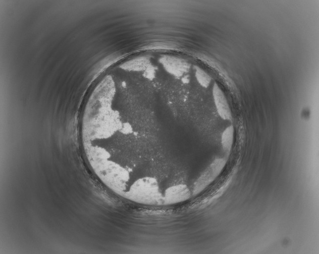 X0000116481121201001201336