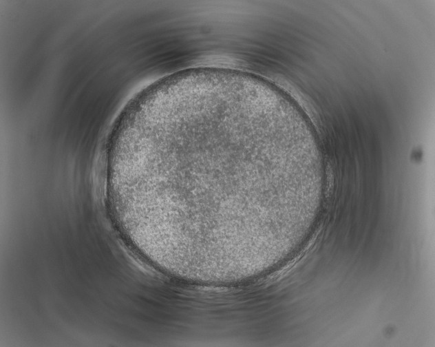 X0000116481123201001201336