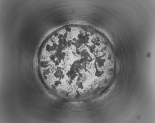 X0000116481125201001201336