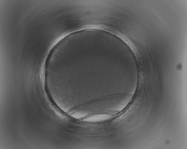 X0000116481127201001201337