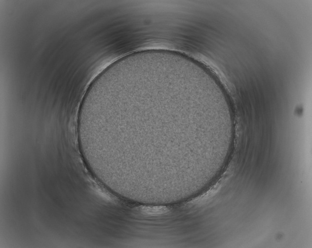 X0000116481129201001201337