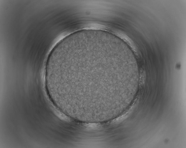 X0000116481130201001201337