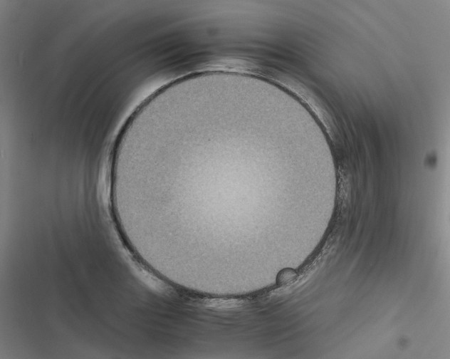 X0000116481131201001201337