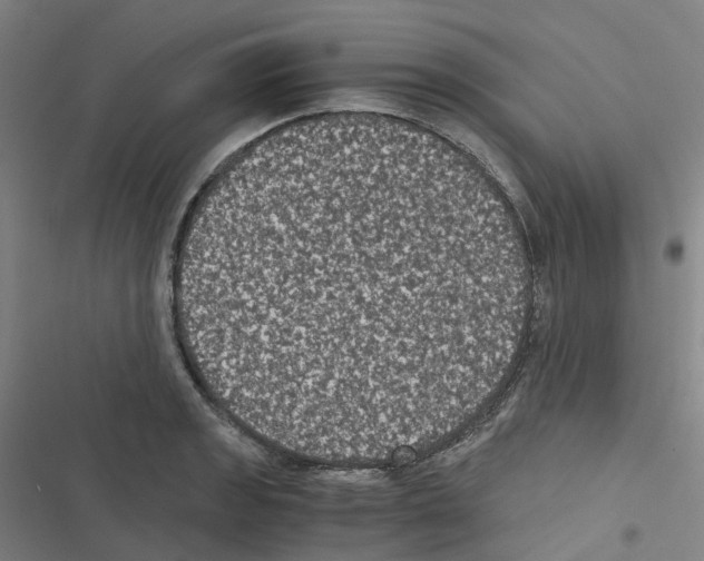 X0000116481133201001201337