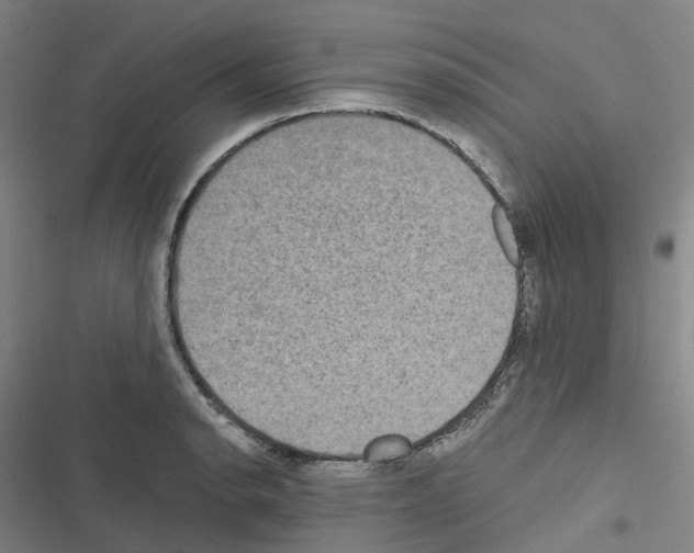 X0000116481134201001201337