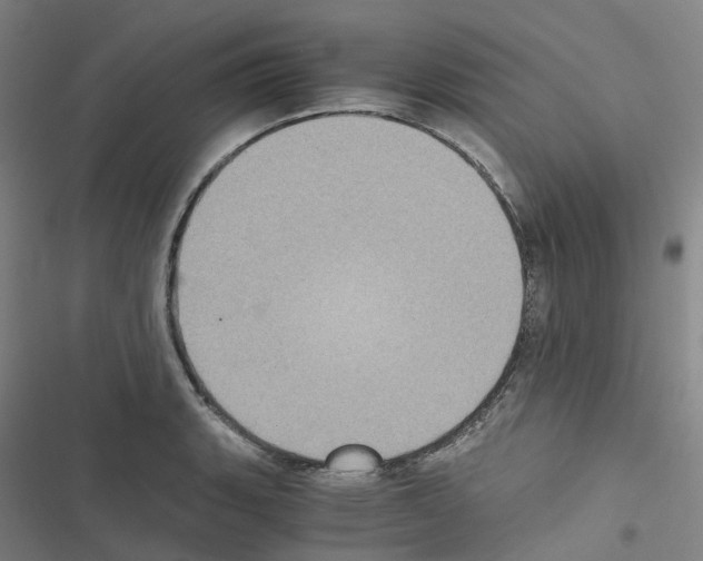 X0000116481135201001201337