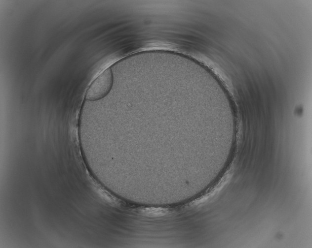 X0000116481137201001201337