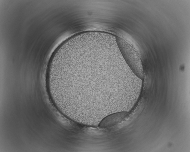 X0000116481138201001201337