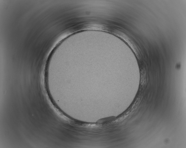 X0000116481139201001201337