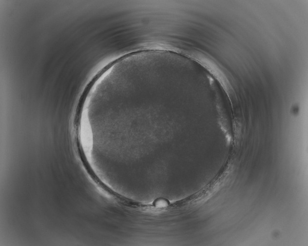 X0000116481141201001201337