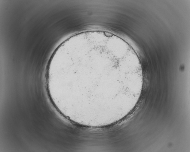 X0000116481142201001201337