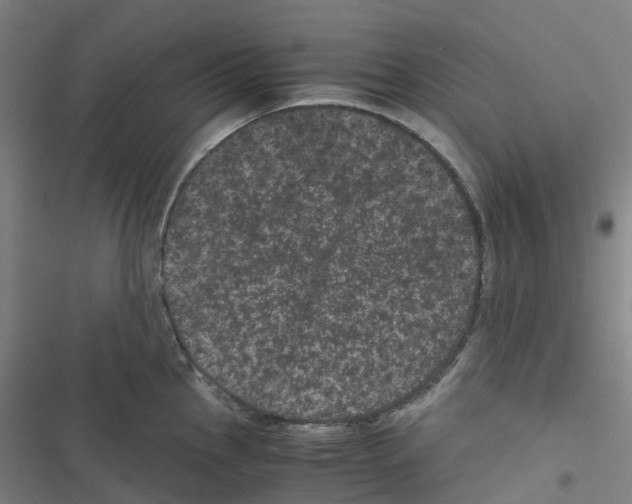 X0000116481145201001201337