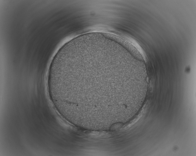 X0000116481146201001201337