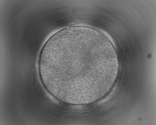 X0000116481149201001201337