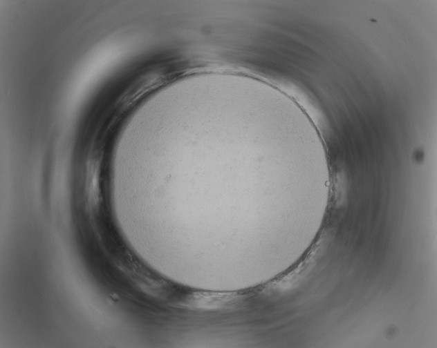 X0000116481150201001201337