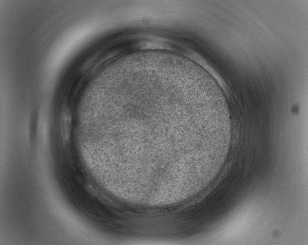 X0000116481151201001201337