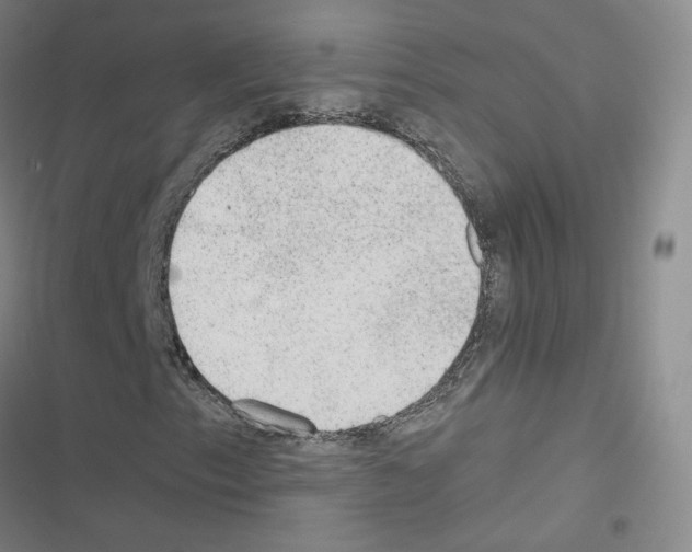 X0000116481153201001201336