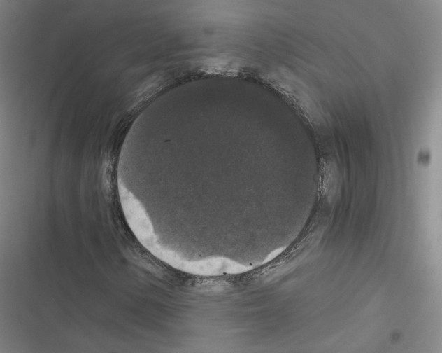 X0000116481154201001201336