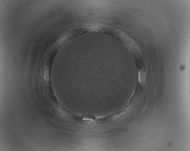 X0000116481155201001201336