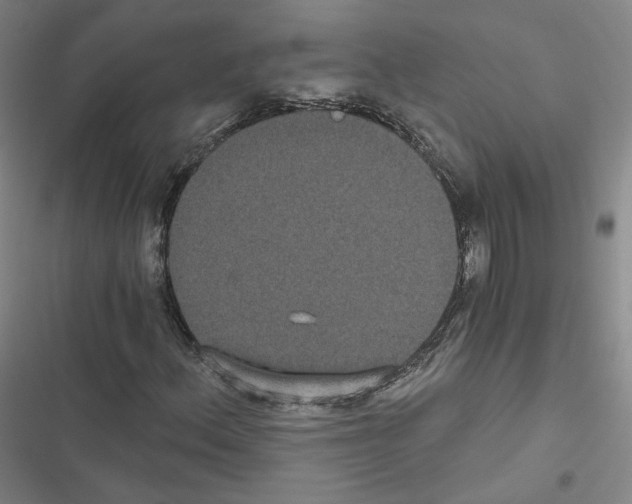 X0000116481156201001201336