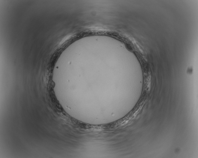 X0000116481157201001201336