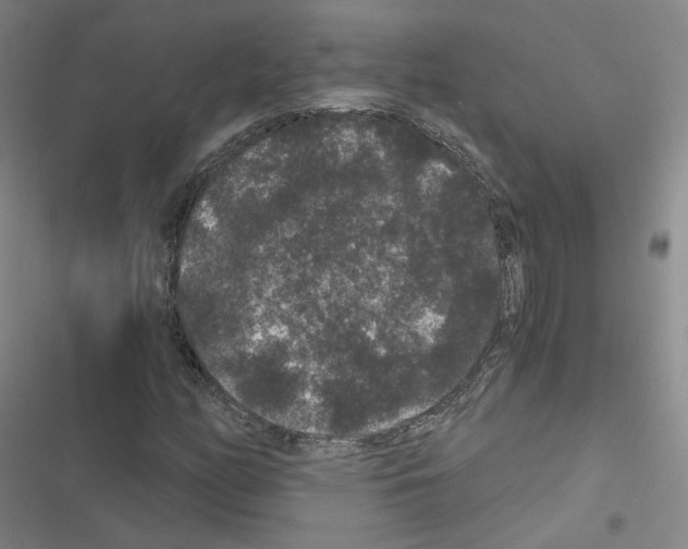 X0000116481158201001201336