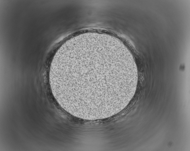 X0000116481159201001201336