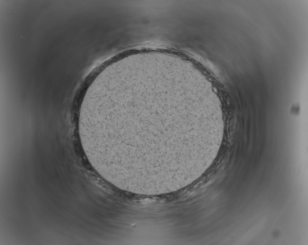 X0000116481160201001201336