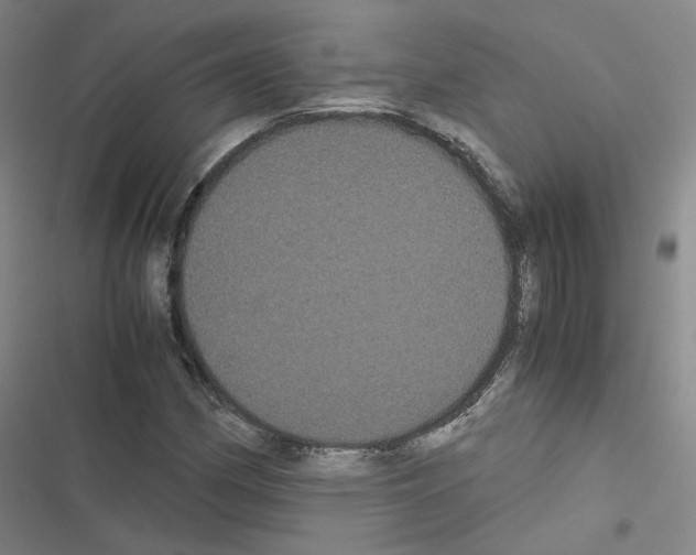 X0000116481162201001201336